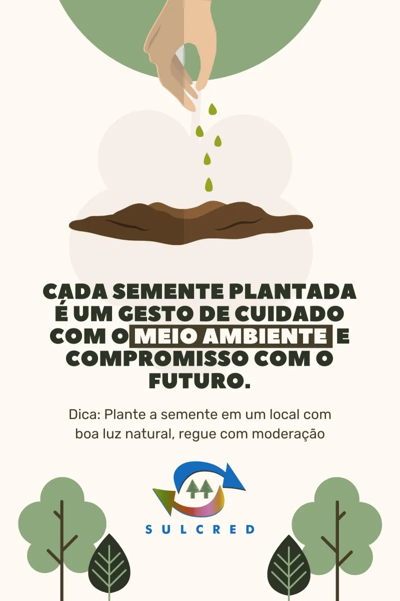 Justiça libera explosão de pedral no rio Tocantins, e pescadores precisarão ser indenizados